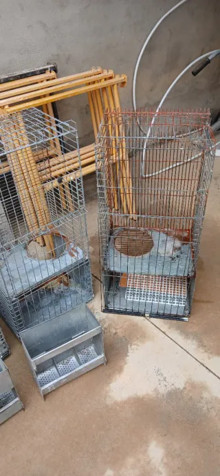 Jaulas metálicas para animales con comederos