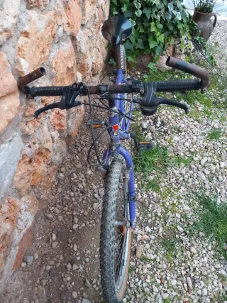 Bicicleta Mentor Y20 Morada con llantas 24"