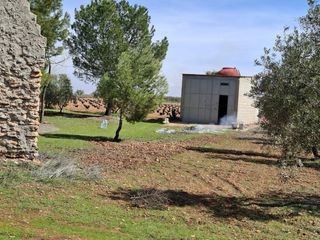 Se vende Olivar