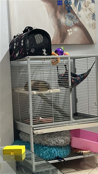 Jaula para hurones PawHut