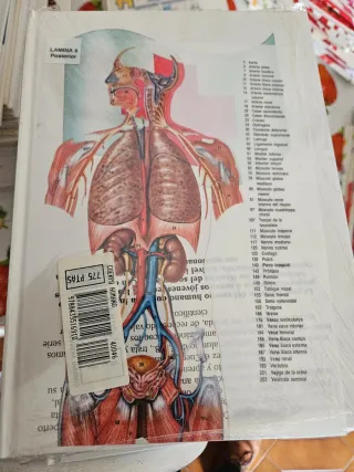 Enciclopedia erase una vez el cuerpo humano.