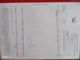 Freidora de aceite 1L