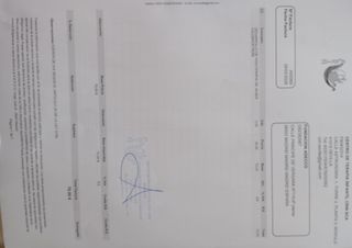 Freidora de aceite 1L