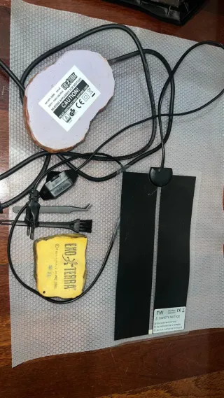 Terrario de cristal con accesorios