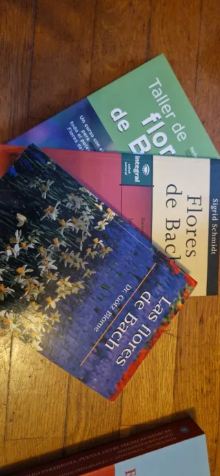Lote Libros Flores de Bach