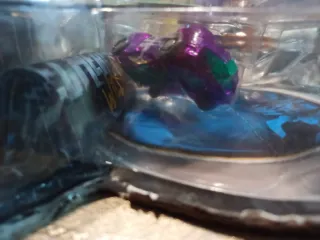 Stingshift Screechers Wild!