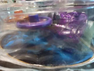 Stingshift Screechers Wild!