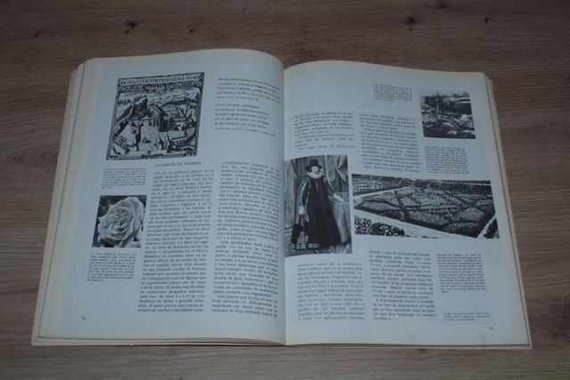 Guía práctica ilustrada Hierbas y Especias