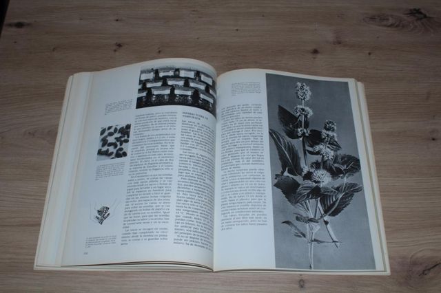 Guía práctica ilustrada Hierbas y Especias