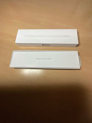 Apple Pencil USB-C Nuevo