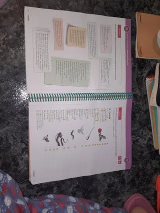 Lengua Castellana y Literatura 1 ESO