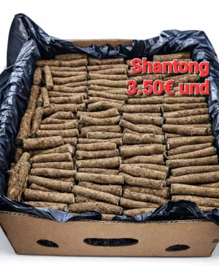 Raíces de Paulownia Shantong