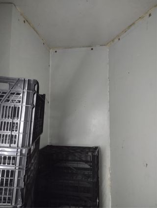 Cámara frigorífica industrial grande Oportunidad