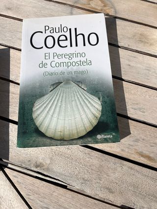 Libro El peregrino de compostela