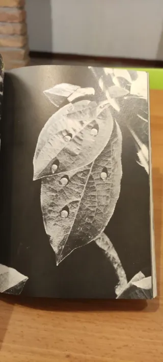 Macro fotografia in pratica, Gaetano Manti 3 Edizi