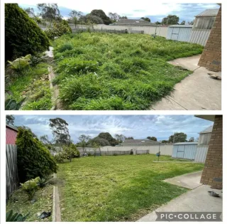 Jardinero económico