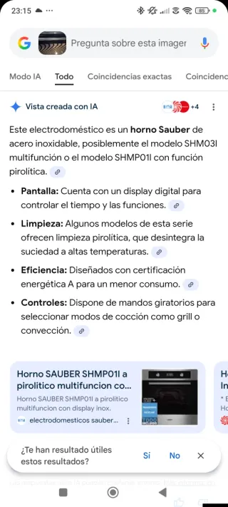 Horno Eléctrico Sauber