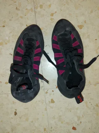 Pues Gato Boreal 41.5