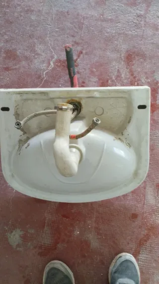 Pica Roca Blanca Cerámica