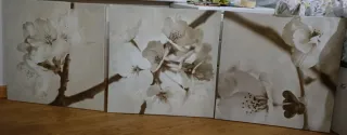 Set 3 Cuadros Flores Cerezo Ikea