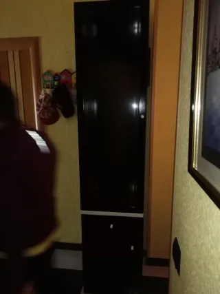 Estantería, vitrina y mueble bajo