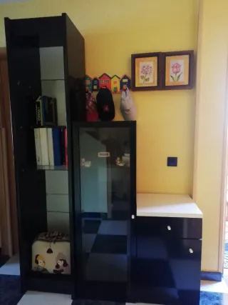 Estantería, vitrina y mueble bajo