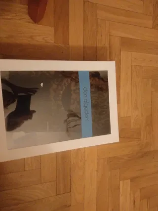 Conjunto Don Algodón Bufanda y Guantes Animal Prin