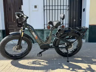 Bicicleta eléctrica Classy Beast