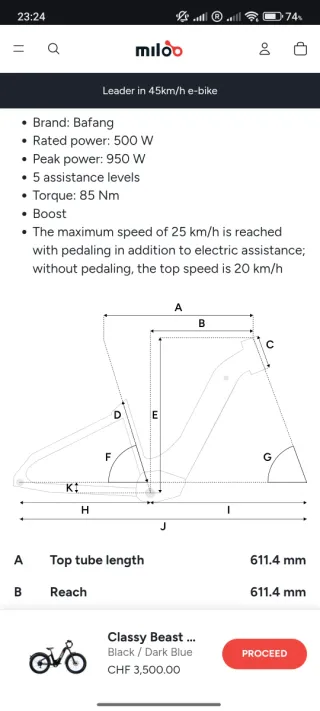 Bicicleta eléctrica Classy Beast