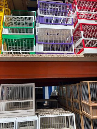 Jaula C1C2 Verde y Roja