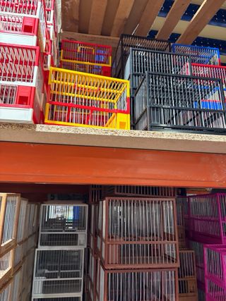 Jaula C1C2 Verde y Roja