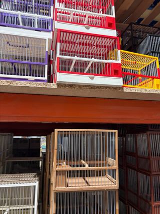 Jaula C1C2 Verde y Roja