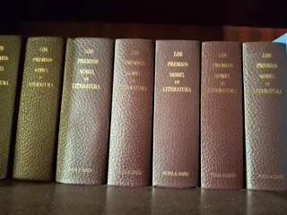 Los premios Novel literatura