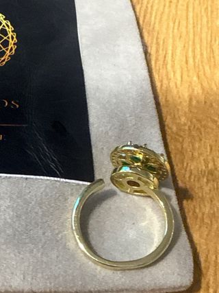 Anillo XP 14K Laminado Ajustable