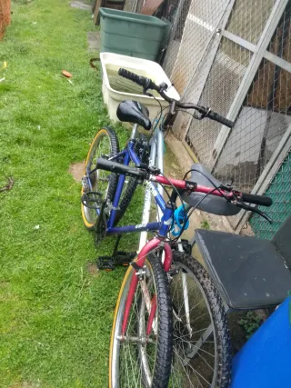 Bicicleta de montaña