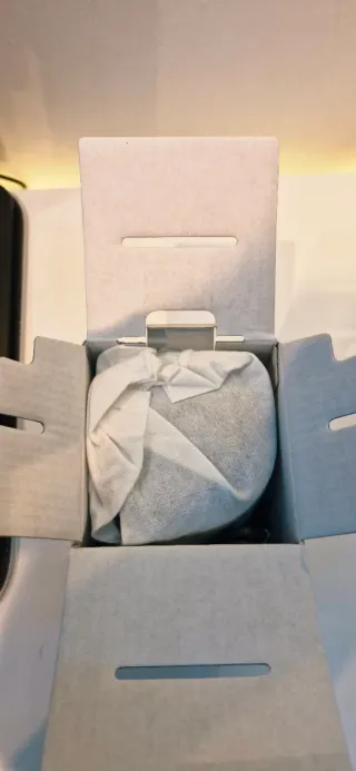 Sony XB100 Altavoz Bluetooth Gris