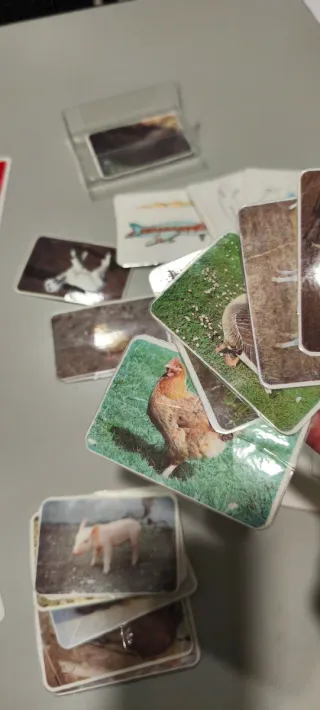 Tarjetas: Cuerpo Humano y Ropa