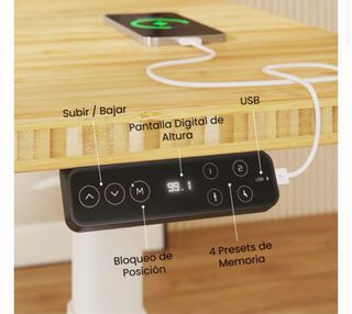 Escritorio Elevable Flexispot Motorizado 120x60