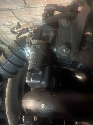 Colector Admisión BMW M52B20 e46