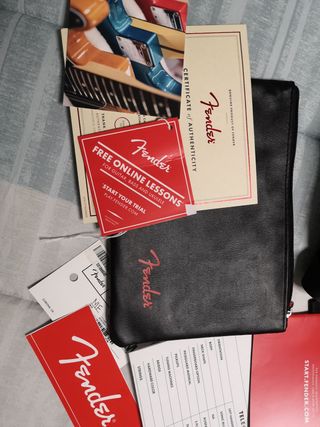 Fender, Gibson, Kemper, Neural, Taylor, Marshall+