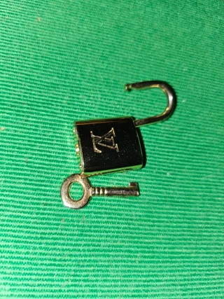 Bolso Speedy 25 Louis Vuitton