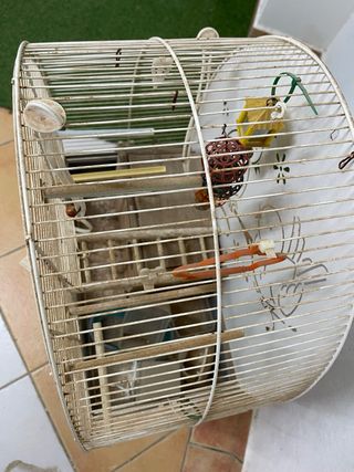 Jaula Voltrega mediana con accesorios pájaro