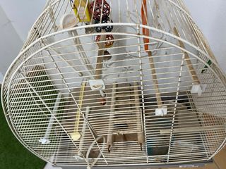Jaula Voltrega mediana con accesorios pájaro