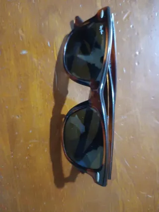 Gafas de sol Ray-Ban Wayfarer RB2040 Marrón