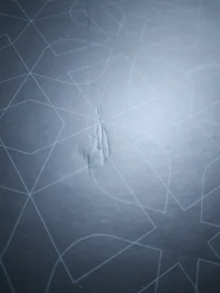 Assassin's Creed Brotherhood of Venice Collector's