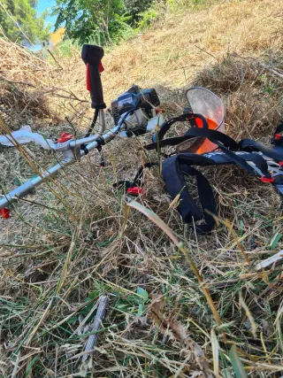 Busco trabajo de Jardinería