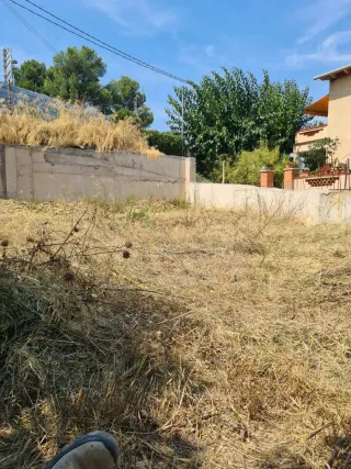 Busco trabajo de Jardinería