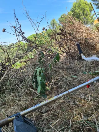 Busco trabajo de Jardinería