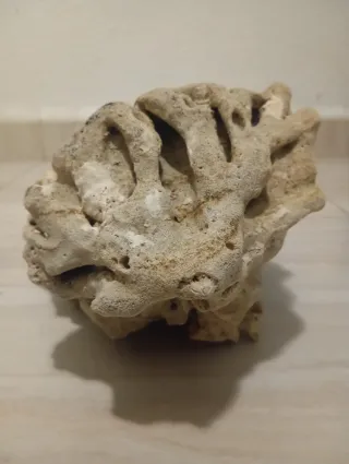 Roca Pukani Inerte Acuario Arrecife/Malawi