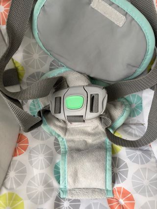 Balanço Ingenuity Hugs & Hoots Dobrável